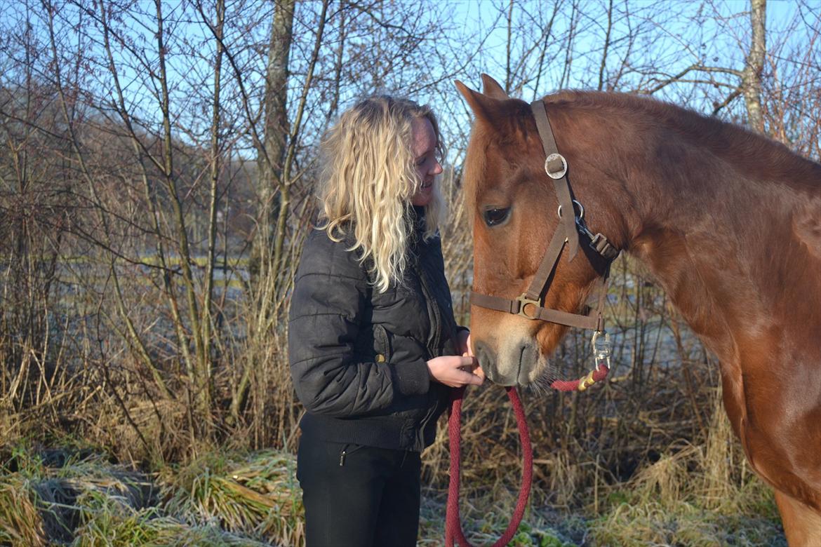 Anden særlig race Chanell DK'S SEJESTE RØDE billede 20