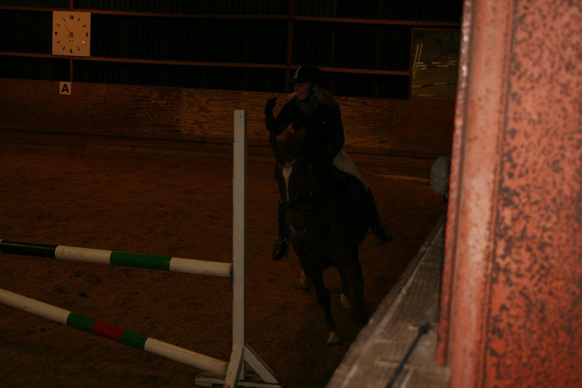 Dansk Varmblod Lucy - Victory! Vi kom igennem en hel bane, hvor hun var forholdsvis sød :D billede 4