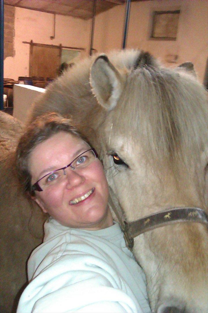 Fjordhest Skovsgårds Tronja billede 15