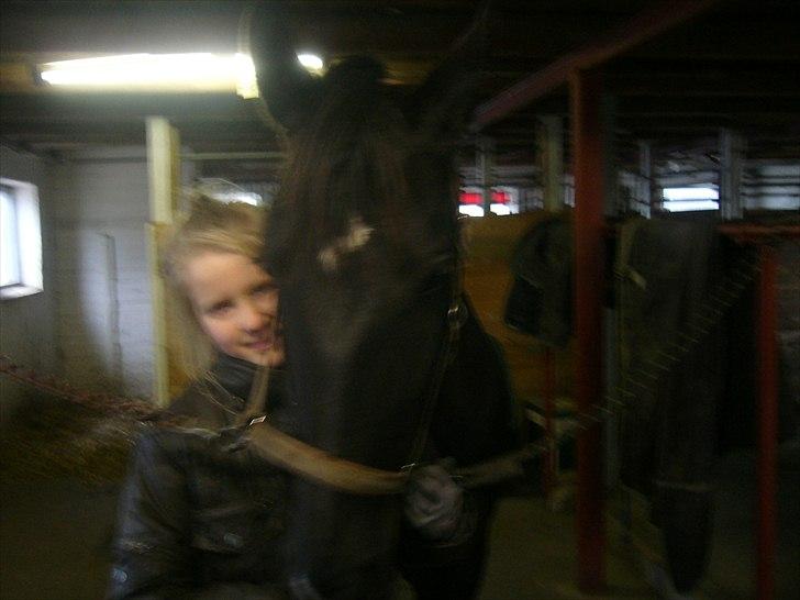 Oldenborg Capriati billede 10