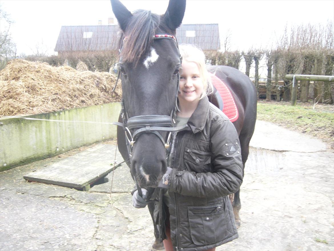 Oldenborg Capriati billede 14