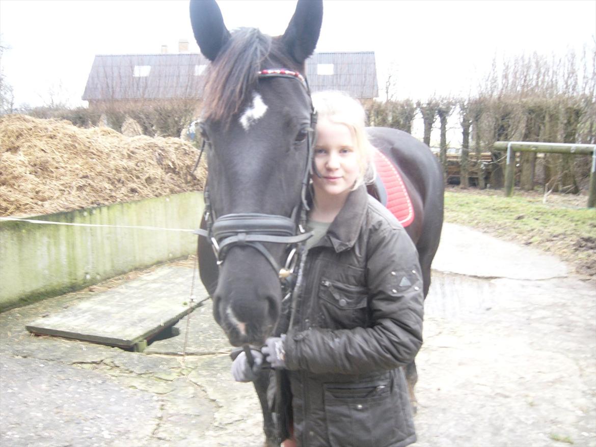 Oldenborg Capriati billede 1