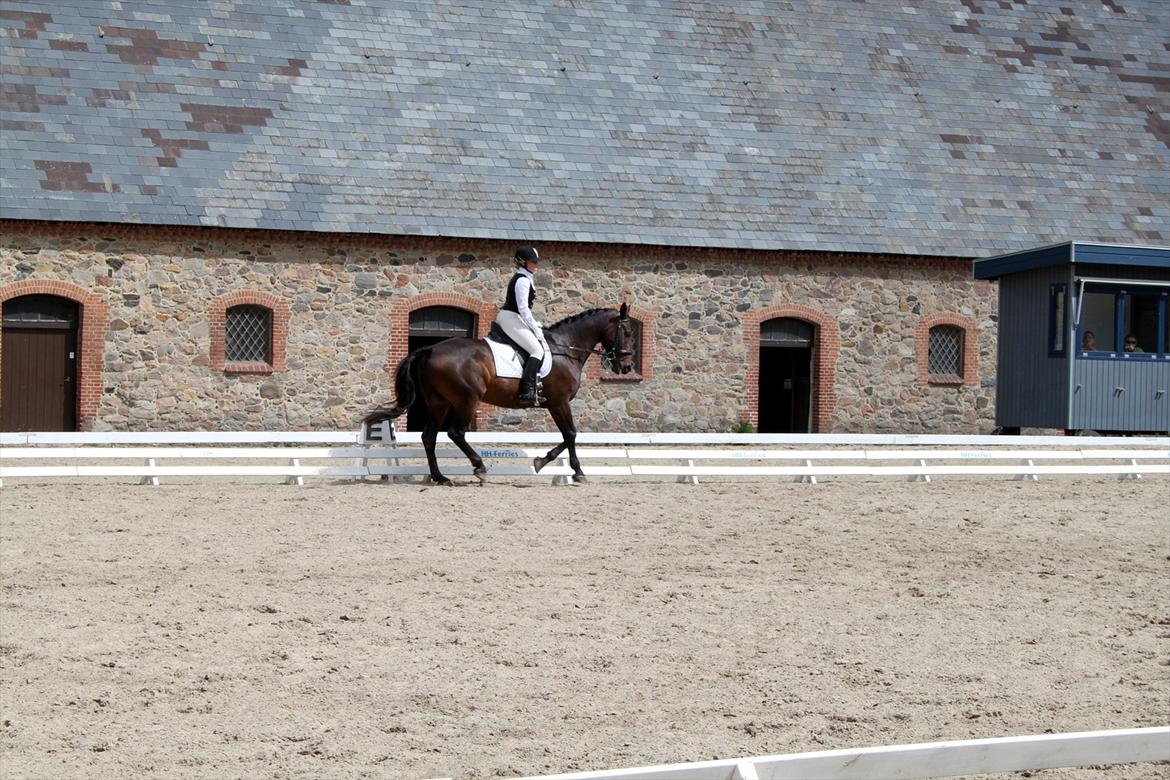 Oldenborg Danny Hedegaard - Landsfinalerne 2011 - Pas de deux obligatoriske pgr. billede 14