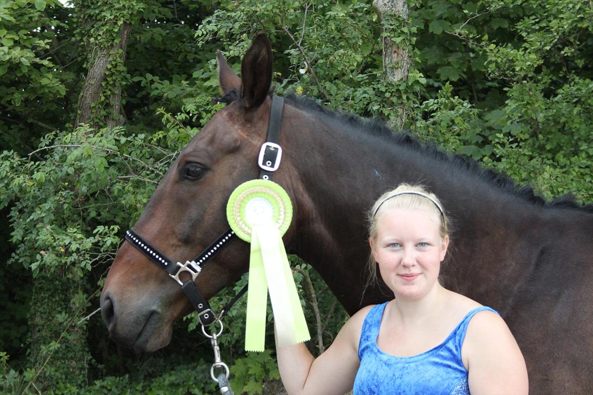 Oldenborg Danny Hedegaard - Landsfinalerne 2011 - roset - 5. plads billede 7