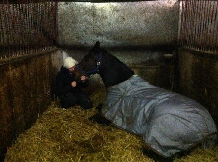 Oldenborg Danny Hedegaard - Hygge i boksen <3 billede 6
