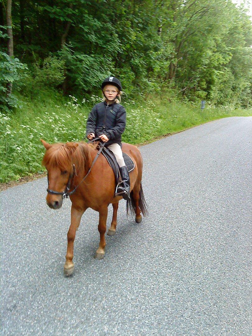 Anden særlig race Feline billede 7