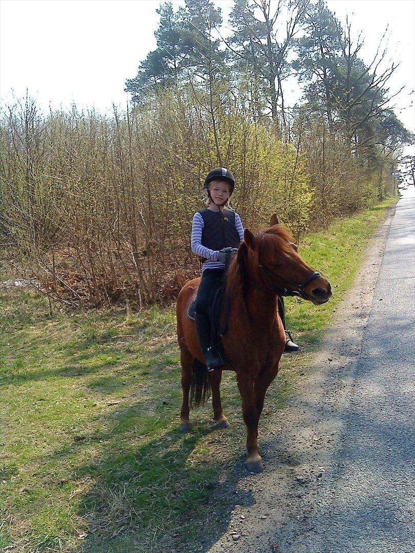 Anden særlig race Feline billede 9