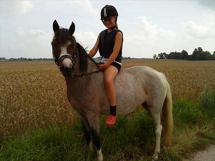 Pinto Pandora<3 - På tur, med den dejlige Pandora!<3'. billede 7