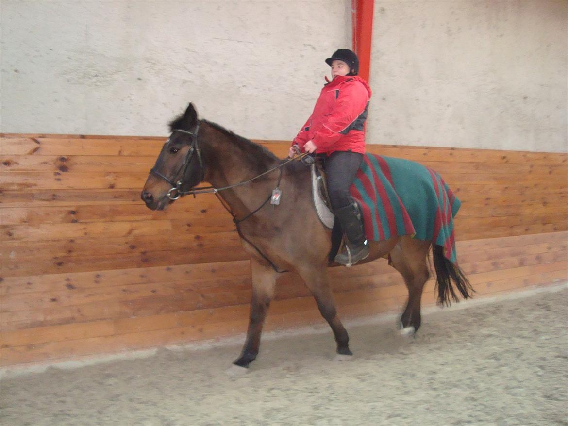 Fuldblod (XX) Smokey  - Undervisning på smokey i ridehuset, Foto: Nikoline  billede 9