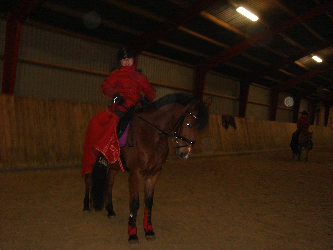 DSP Bæklunds Anizette - jeg vil gøre alt for at du føler dig tilpas!:D billede 12