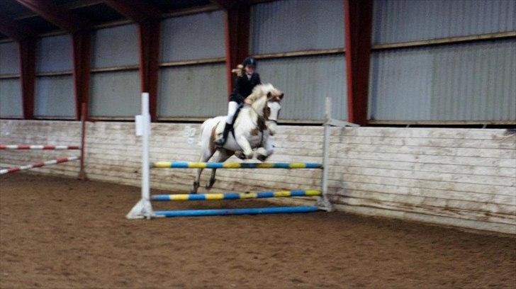 Anden særlig race Åbo 's sweet <3 billede 5