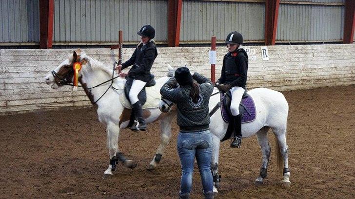 Anden særlig race Åbo 's sweet <3 billede 3