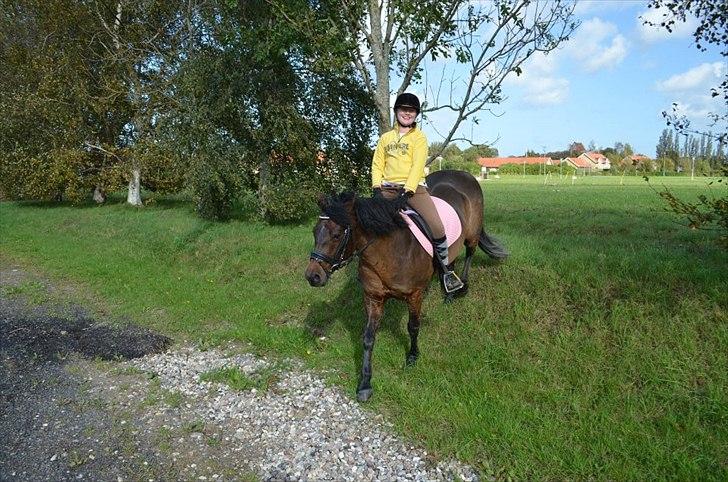 Anden særlig race Zoya - Juhu ned af bake. billede 15