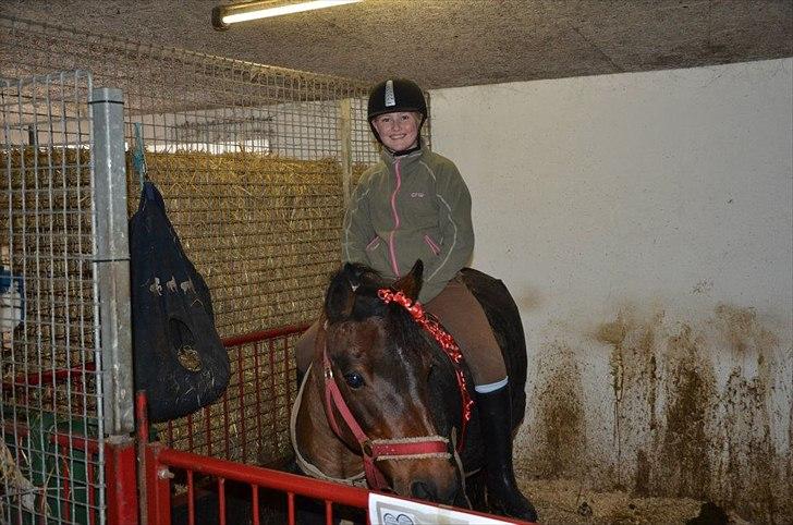 Anden særlig race Zoya - Fordi hun har bånd i håret er for de, der har jeg lige fået, før lånte jeg hende kun men nu har jeg fået hende. billede 16