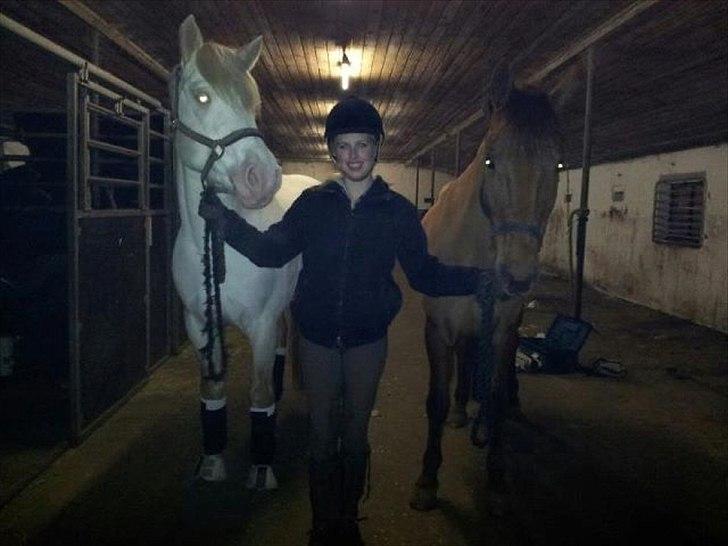 New Forest Simba B-PONY *R.I.P* billede 10