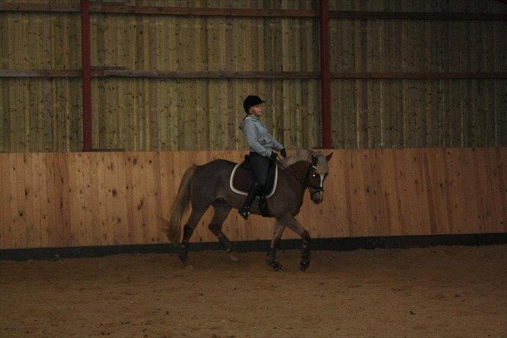 DSP BJ´S Eisia  - Travschenkelvigning<3 billede 8
