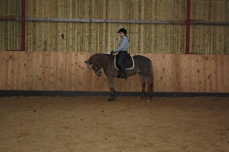 DSP BJ´S Eisia  - Parade, lidt under lod!<3 billede 9