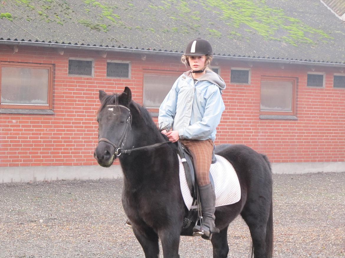 Anden særlig race Vejlgården's Bandit  billede 15