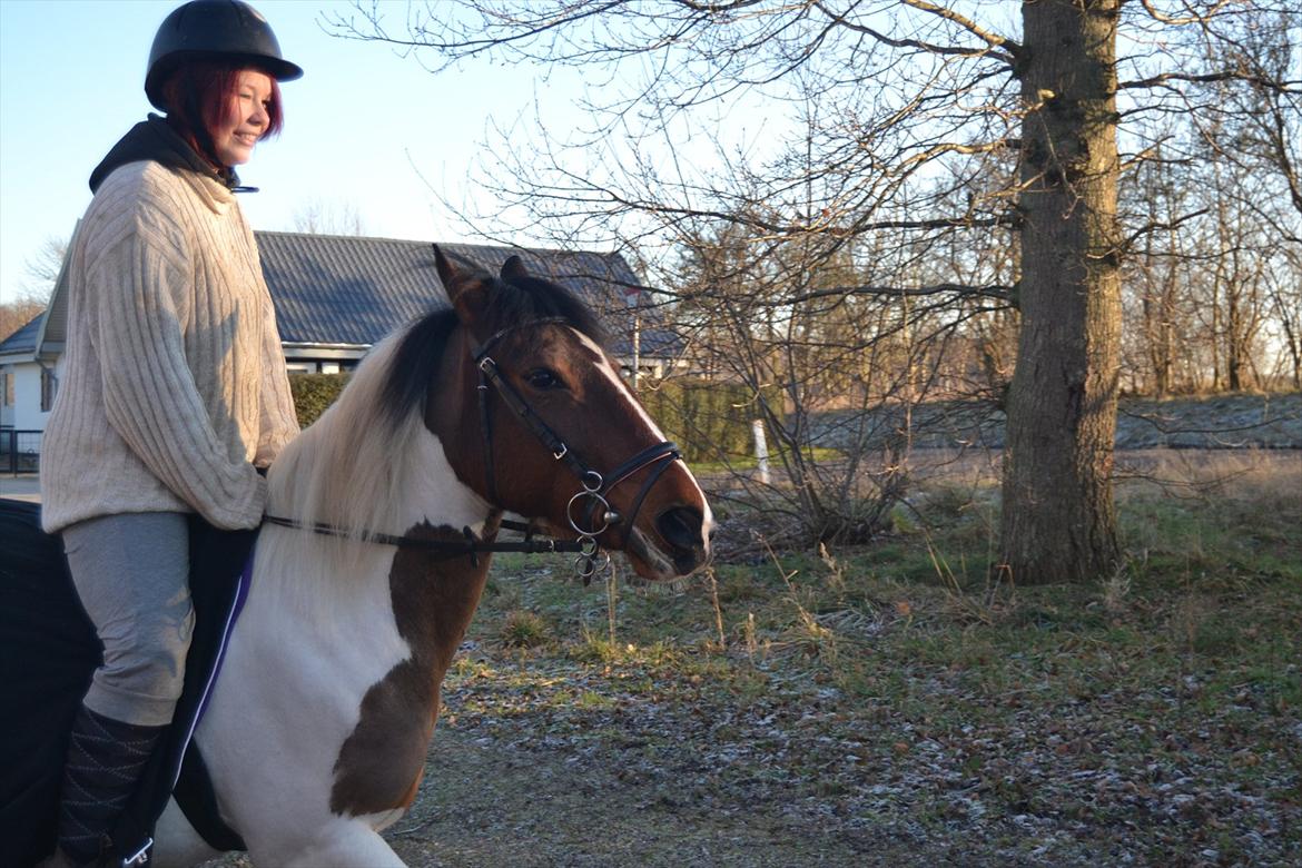 Anden særlig race Melanie - Så bliver der sgu redet :D 
Foto: Louise  billede 9