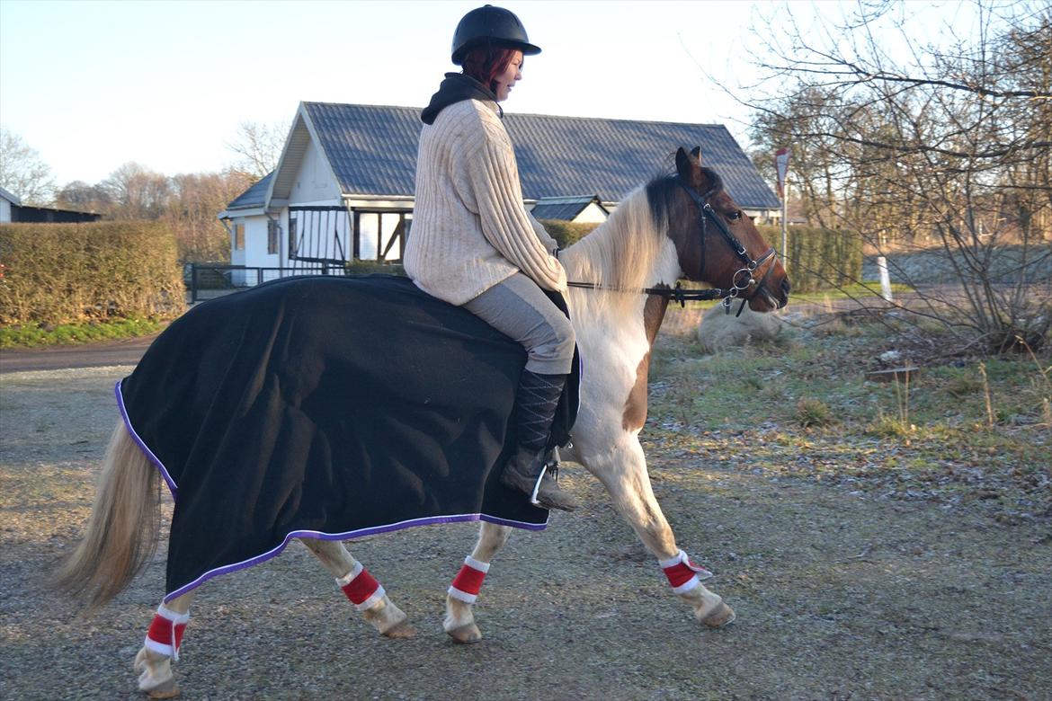 Anden særlig race Melanie - uuhhhuu, hun er bare så fiin <3 
Foto: Louise  billede 10