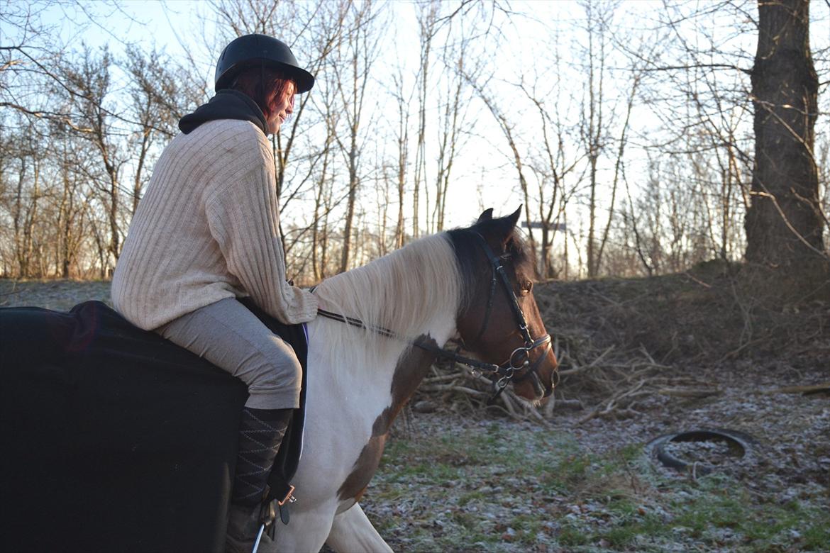 Anden særlig race Melanie - <3 
Foto: Louise billede 12