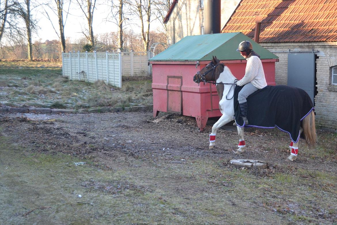Anden særlig race Melanie - <3 
Foto: Louise billede 13
