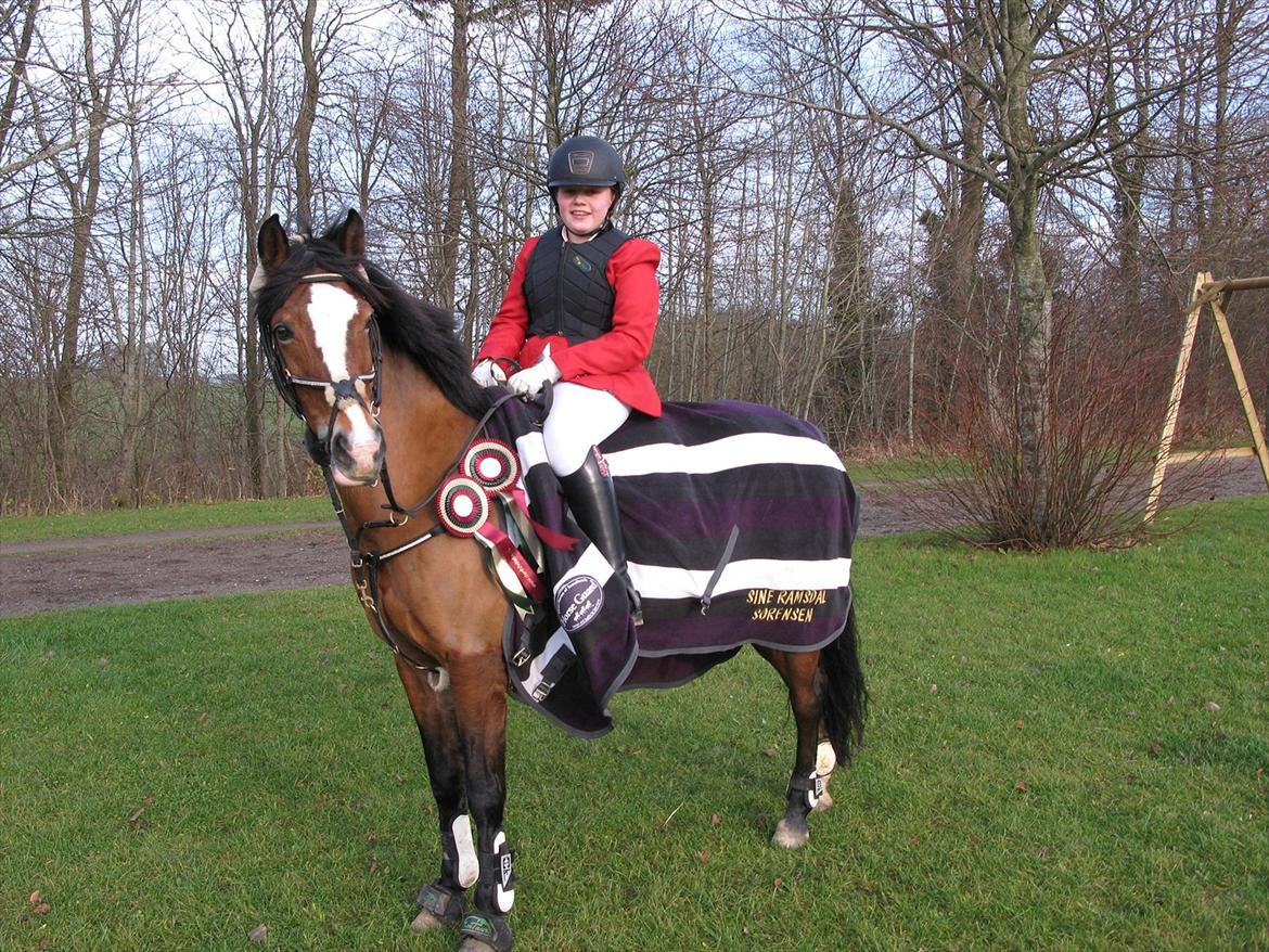 Belgisk Sportspony * Donna Van Stevenshof * - 3 plads og 6 plads på vilhemsborg 2011 :) billede 18