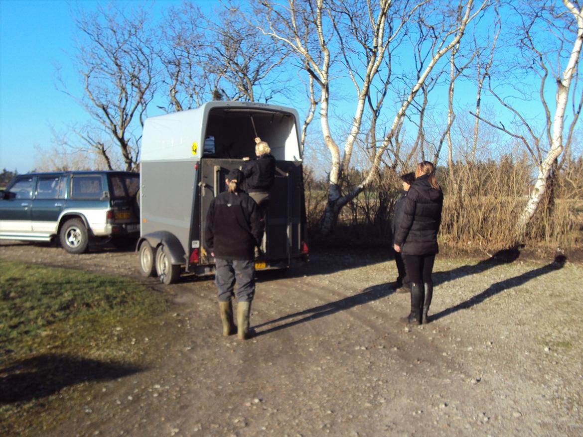 Frieser Bauke fan de adelvej billede 2