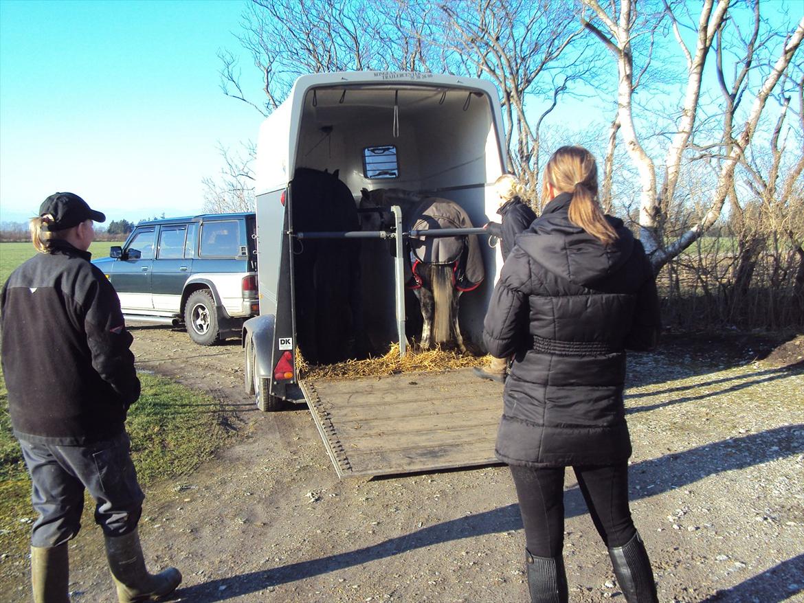 Frieser Bauke fan de adelvej billede 3