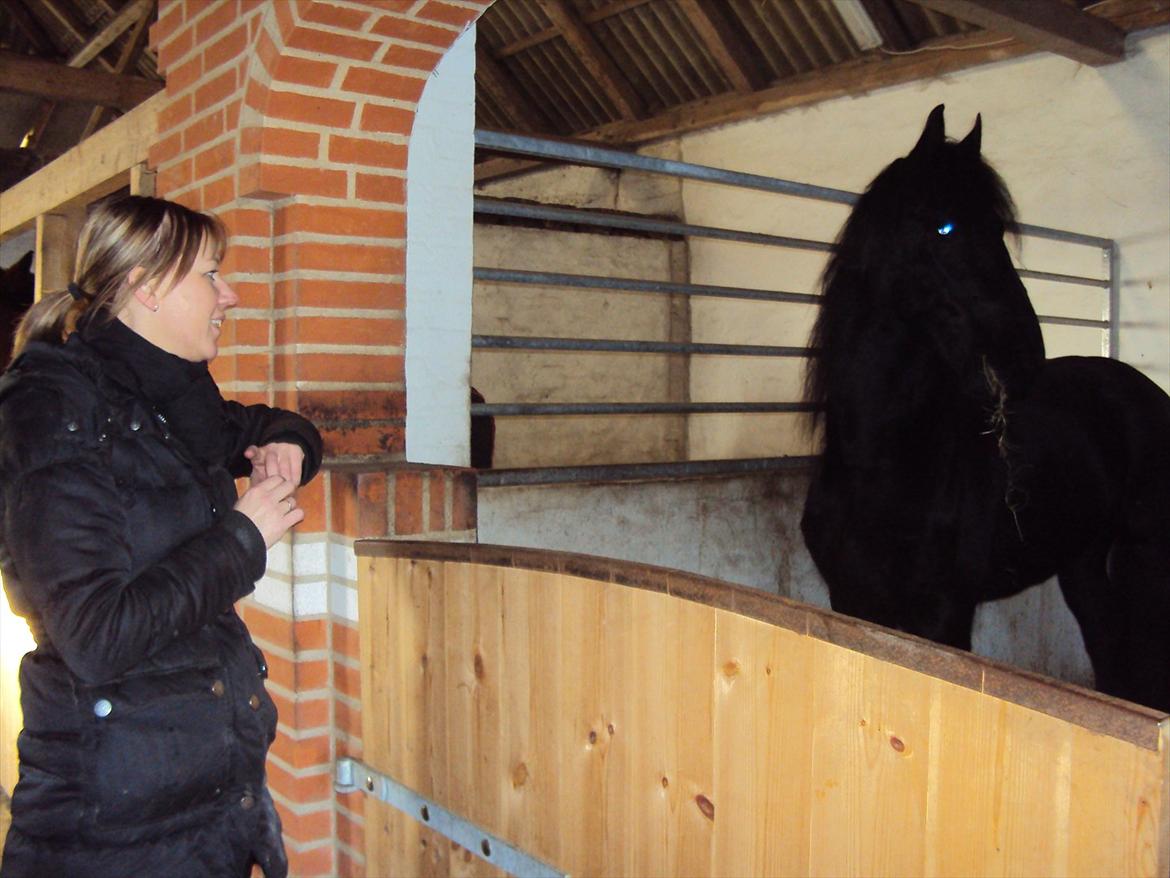 Frieser Bauke fan de adelvej billede 11