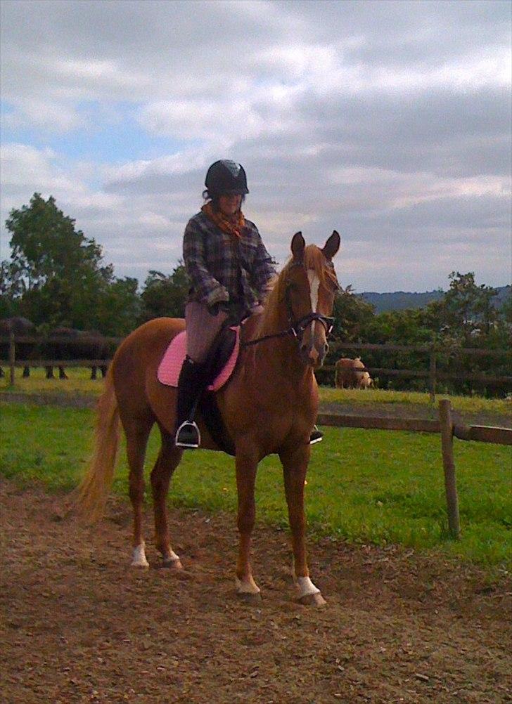 Sportsaraber (A) Selina - Første gang at vi er udenfor... og hun tog det så pænt billede 6