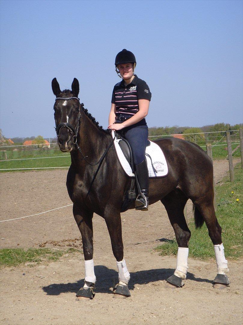 Oldenborg Flicka *Solgt* - Flicka. Sommeren 2011<3 billede 17