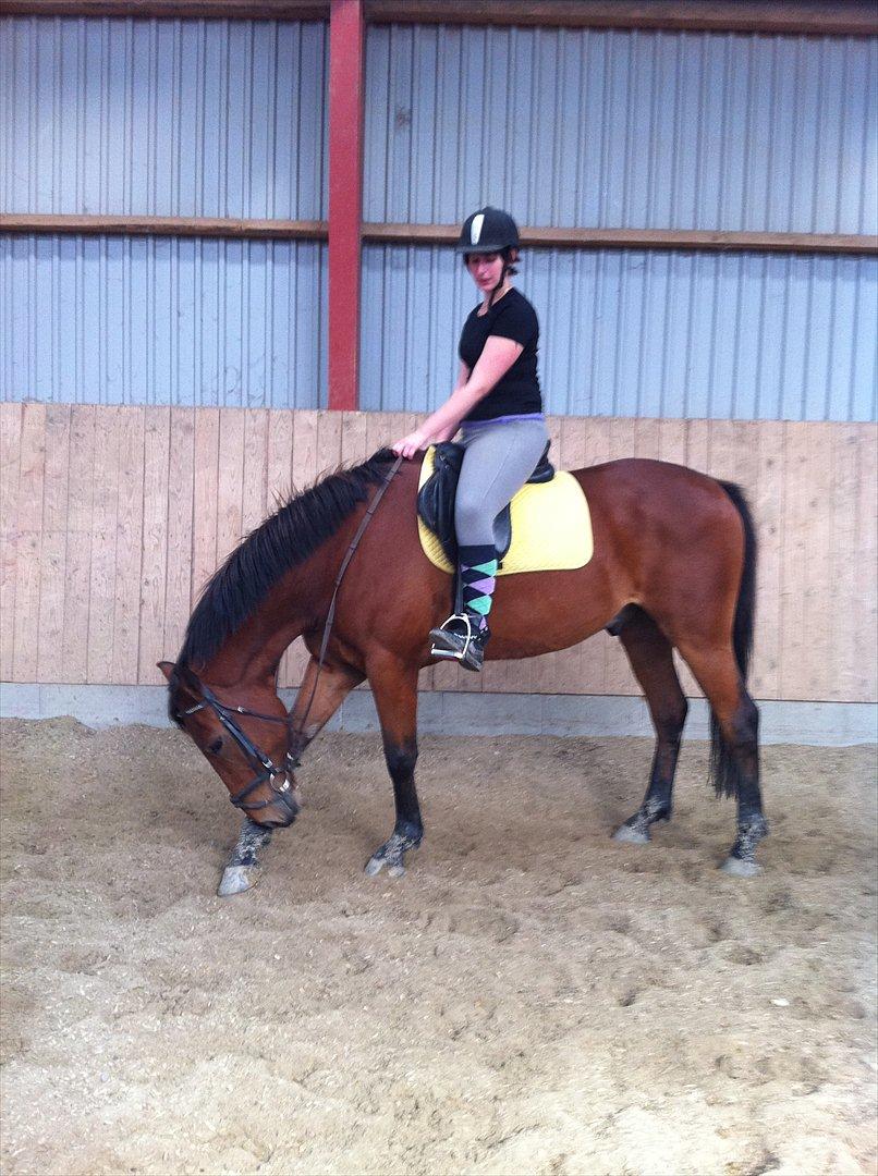 Anden særlig race Madsen (Mason) - Mig første gang ;) billede 3