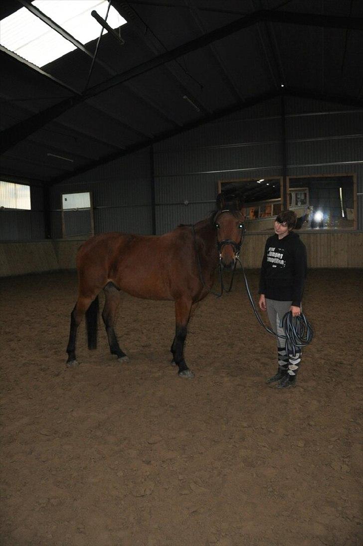 Anden særlig race Madsen (Mason) - Moar <3
madsens ankomst billede 4