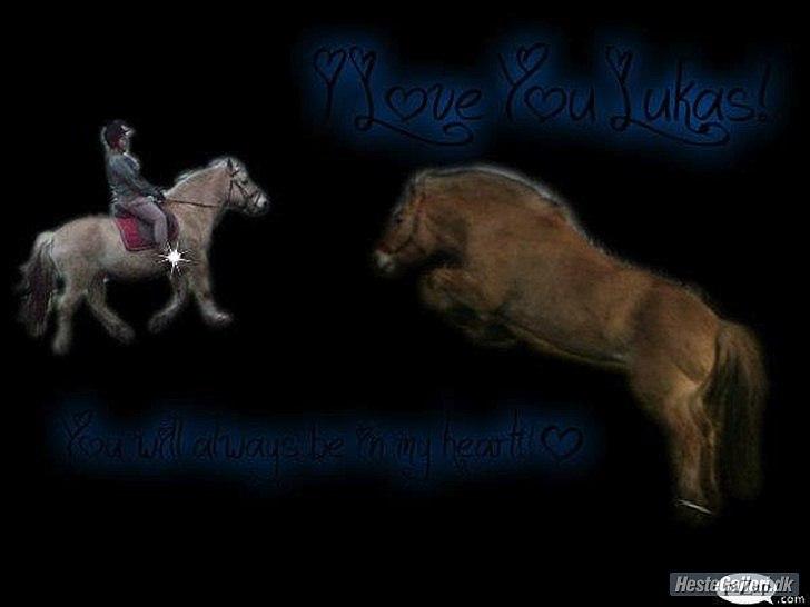 Fjordhest Lukas!<33 [SOLGT OG SAVNET :'(] billede 20