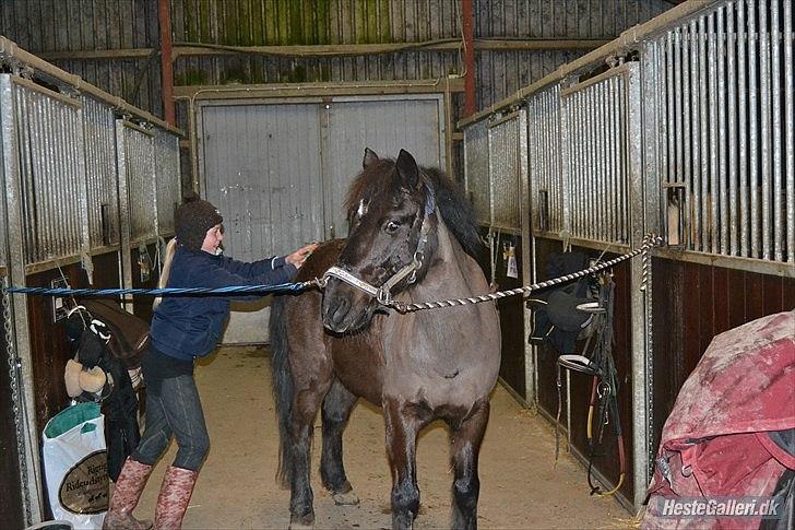 Anden særlig race Sorteper!!<3  - SORTEPER
velkommen til mig og sortepers pofil:) billede 3