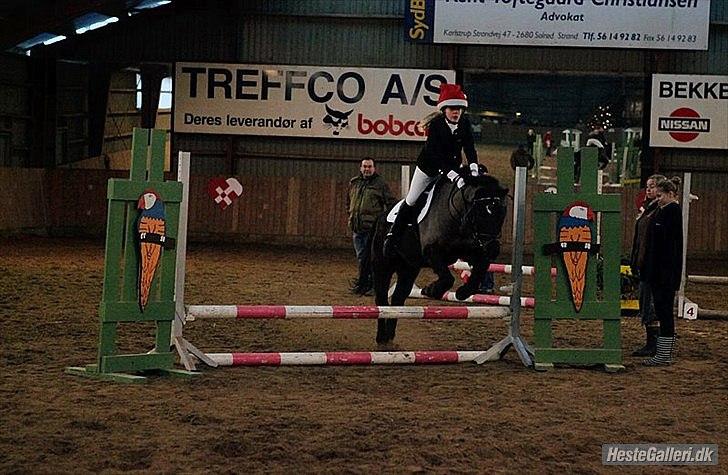 Anden særlig race Sorteper!!<3  - SPRING!! Han sprang rigtig hurtigt over så undskyld min opstilning:) billede 8