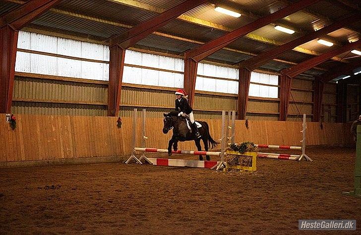 Anden særlig race Sorteper!!<3  - NISSe billede 11