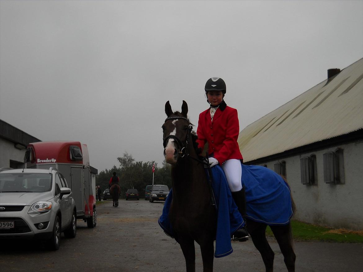 Tysk Sportspony starpower ladysmock /smokie - efter første stævne:-) billede 15