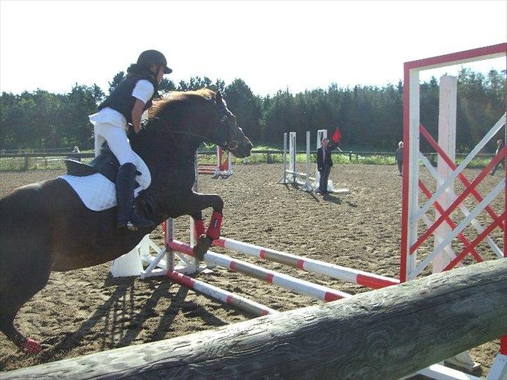 Anden særlig race Moonjam - Springstævne herhjemme :) billede 2