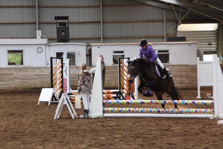 Anden særlig race Moonjam billede 3