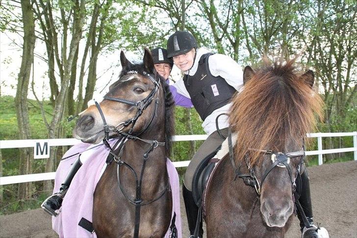 Anden særlig race Moonjam - Moonjam og jeg, Sofia og Laufi <3 billede 4