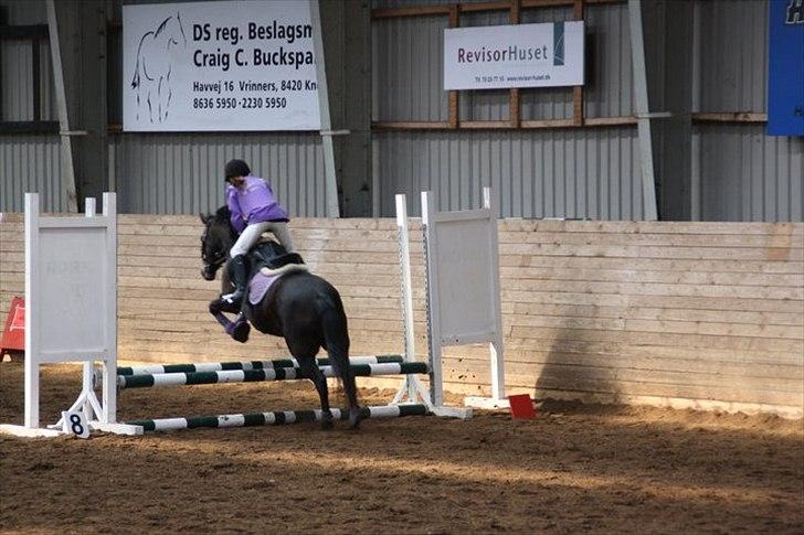 Anden særlig race Moonjam billede 7