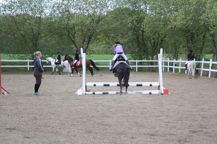 Anden særlig race Moonjam billede 8