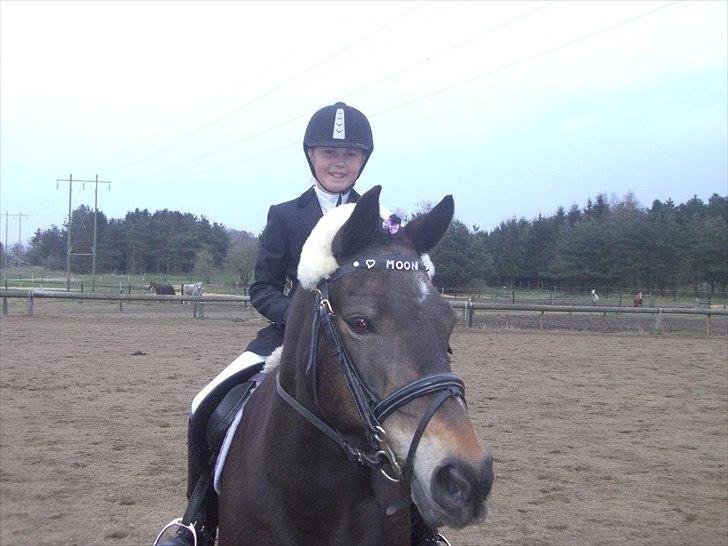 Anden særlig race Moonjam - Dressurstævne herhjemme på rideskolen :) billede 10