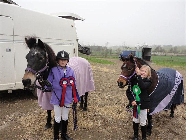 Anden særlig race Moonjam billede 12