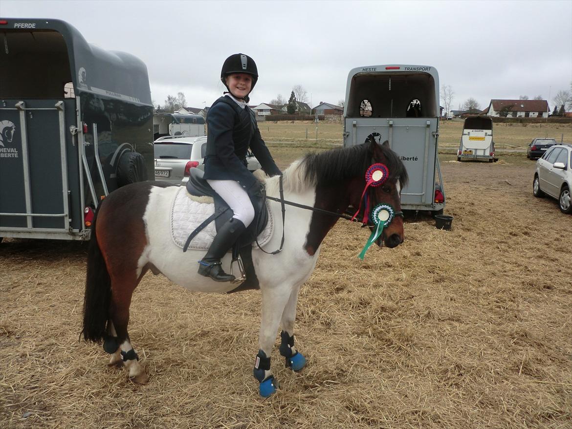 Anden særlig race Hopla billede 3