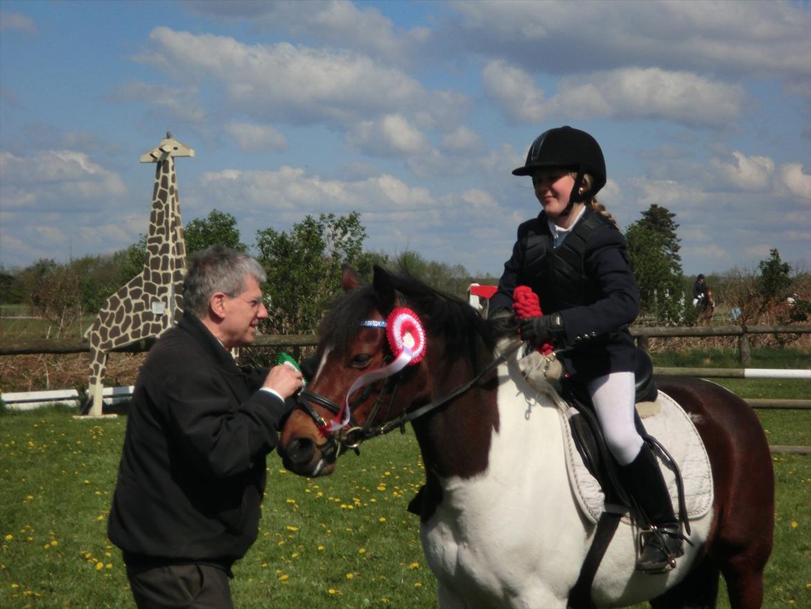 Anden særlig race Hopla billede 6