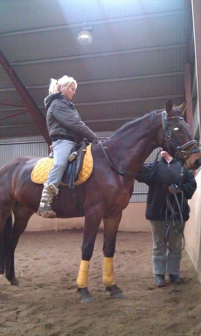 Anden særlig race La,cure <3 Guldklump billede 5