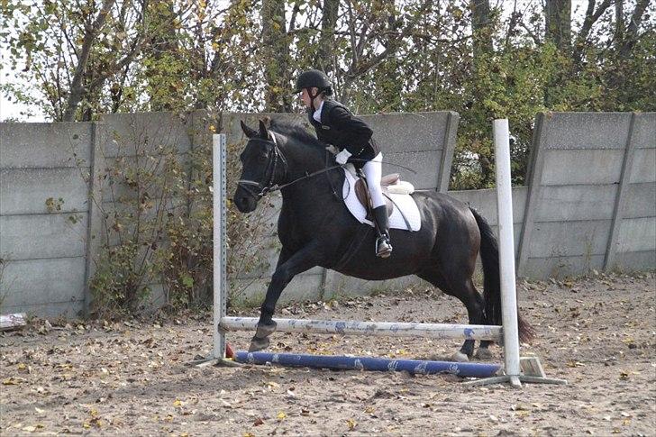 Oldenborg Hr. Lakrids - spring stævne<3 billede 1